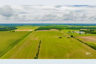 0 Angus Lane, Elberta, AL 36530 - Photo 12