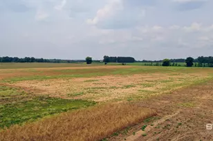 1 Shell Rd, Jay, FL 32565 - Photo 16