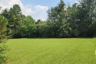 29049 Loper Rd, Loxley, AL 36551 - Photo 16