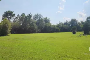 29049 Loper Rd, Loxley, AL 36551 - Photo 20