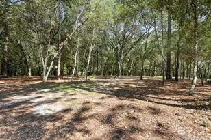 36001 Sibley Rd, Stapleton, AL 36578 - Photo 6