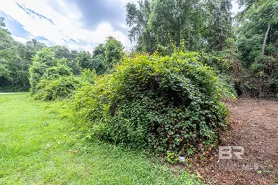 0 Main Street, Daphne, AL 36526 - Photo 4