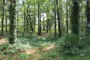 9300 Jeff Hamilton Rd, Mobile, AL 36695 - Photo 14