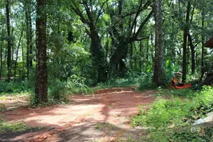 9300 Jeff Hamilton Rd, Mobile, AL 36695 - Photo 12