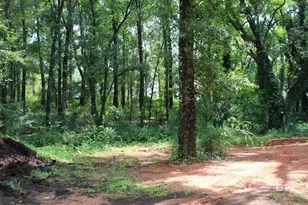 9300 Jeff Hamilton Rd, Mobile, AL 36695 - Photo 16