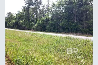 00000 State Highway 225, Bay Minette, AL 36507 - Photo 10