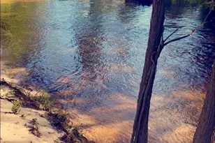 2588 Wolf Log Rd, Flomaton, AL 36441 - Photo 34