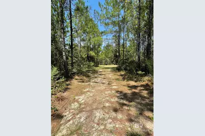 2588 Wolf Log Road, Flomaton, AL 36441 - Photo 26