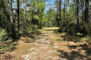 2588 Wolf Log Rd, Flomaton, AL 36441 - Photo 26