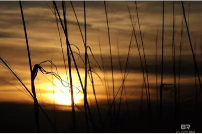 1380 State Highway 180 #105, Gulf Shores, AL 36542 - Photo 40