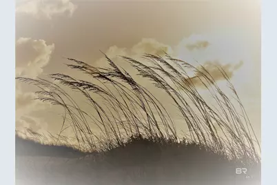 1380 State Highway 180 #105, Gulf Shores, AL 36542 - Photo 36