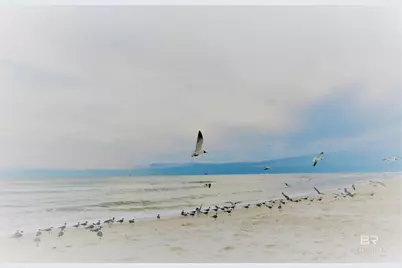 1380 State Highway 180 #105, Gulf Shores, AL 36542 - Photo 38