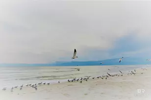 1380 State Hwy 180, Gulf Shores, AL 36542 - Photo 38