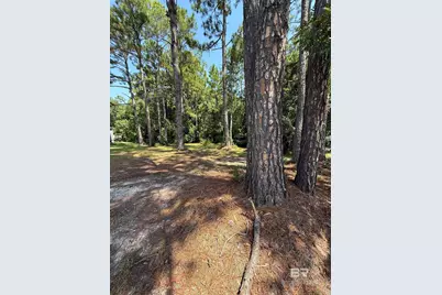 Pompano Drive, Elberta, AL 36530 - Photo 2