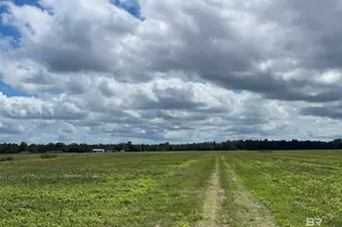 5700 Block Pine Forest Rd, Walnut Hill, FL 32568 - Photo 22