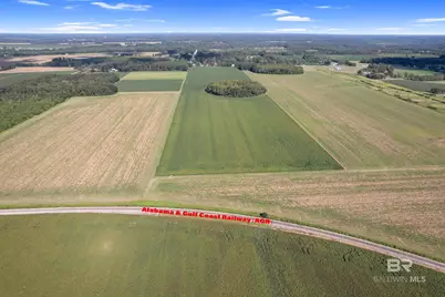 5700 Block Pine Forest Road, Walnut Hill, FL 32568 - Photo 16