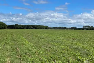 5700 Block Pine Forest Rd, Walnut Hill, FL 32568 - Photo 20