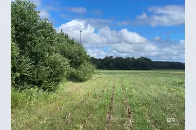 5700 Block Pine Forest Road, Walnut Hill, FL 32568 - Photo 14