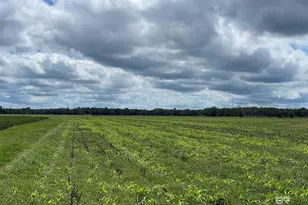 5700 Block Pine Forest Rd, Walnut Hill, FL 32568 - Photo 18