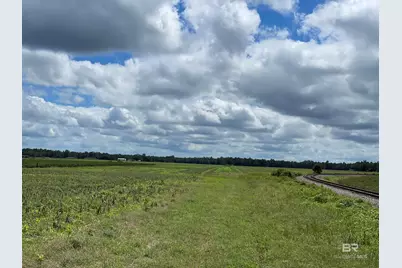 5700 Block Pine Forest Road, Walnut Hill, FL 32568 - Photo 4