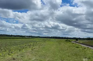 5700 Block Pine Forest Rd, Walnut Hill, FL 32568 - Photo 4