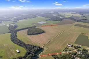 5700 Block Pine Forest Rd, Walnut Hill, FL 32568 - Photo 26