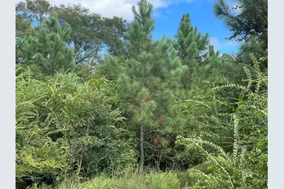 5700 Block Pine Forest Road, Walnut Hill, FL 32568 - Photo 12