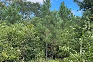 5700 Block Pine Forest Rd, Walnut Hill, FL 32568 - Photo 12