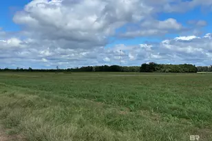 5700 Block Pine Forest Rd, Walnut Hill, FL 32568 - Photo 32