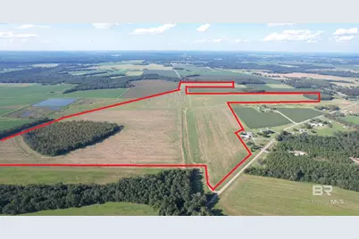 5700 Block Pine Forest Road, Walnut Hill, FL 32568 - Photo 4