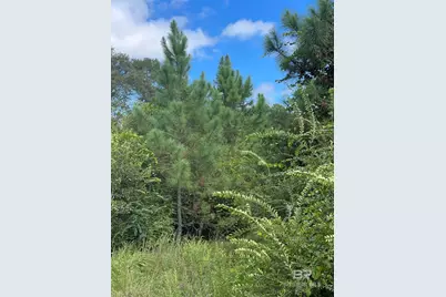 5700 Block Pine Forest Road, Walnut Hill, FL 32568 - Photo 12