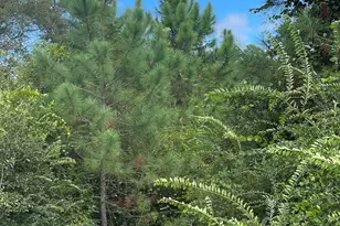 5700 Block Pine Forest Rd, Walnut Hill, FL 32568 - Photo 12