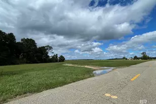 5700 Block Pine Forest Rd, Walnut Hill, FL 32568 - Photo 10