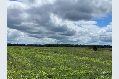 5700 Block Pine Forest Road, Walnut Hill, FL 32568 - Photo 18