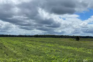 5700 Block Pine Forest Rd, Walnut Hill, FL 32568 - Photo 18