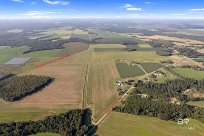 5700 Block Pine Forest Road, Walnut Hill, FL 32568 - Photo 1