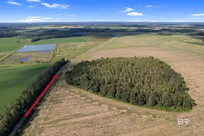 5700 Block Pine Forest Road, Walnut Hill, FL 32568 - Photo 24