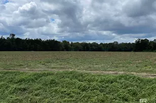 5700 Block Pine Forest Rd, Walnut Hill, FL 32568 - Photo 40