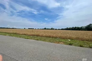 0 Shell Rd, Jay, FL 32565 - Photo 10