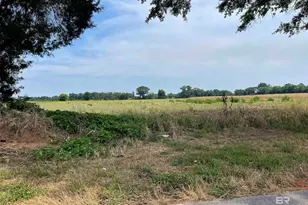 0 Shell Rd, Jay, FL 32565 - Photo 6