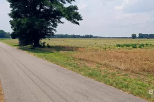 0 Shell Rd, Jay, FL 32565 - Photo 12