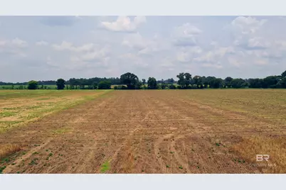 0 Shell Road, Jay, FL 32565 - Photo 14