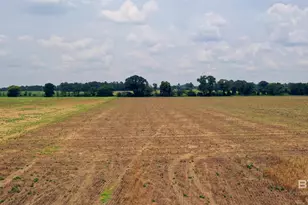 0 Shell Rd, Jay, FL 32565 - Photo 14