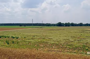 0 Shell Rd, Jay, FL 32565 - Photo 16