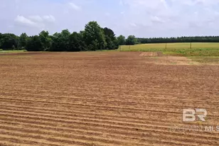 1 Salter Rd, Jay, FL 32565 - Photo 10