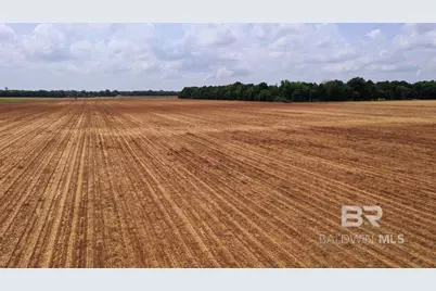 1 Salter Road, Jay, FL 32565 - Photo 12