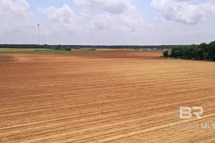 1 Salter Rd, Jay, FL 32565 - Photo 16