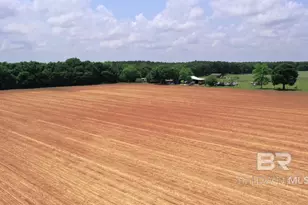 1 Salter Rd, Jay, FL 32565 - Photo 14