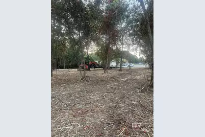 0 St Hwy 59, Stapleton, AL 36578 - Photo 4