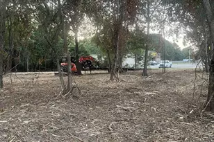 0 St Hwy 59, Stapleton, AL 36578 - Photo 4